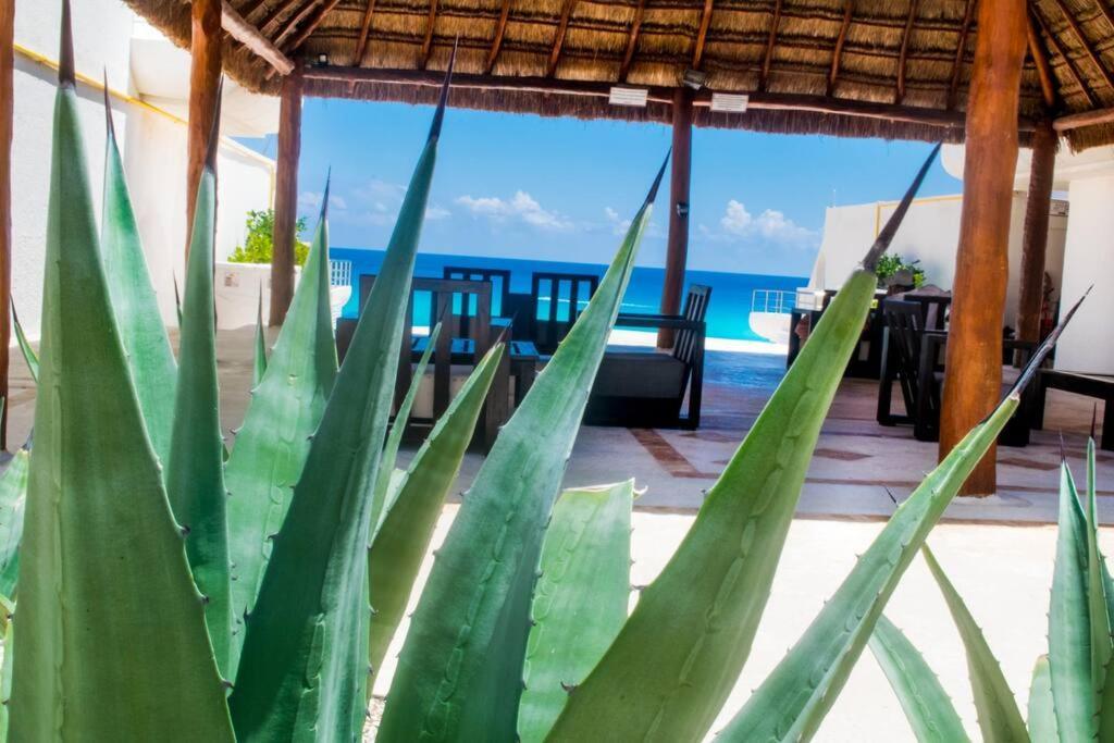 Ocean Front Villa Marlin, Best Location In Hotel Zone #109 칸쿤 외부 사진